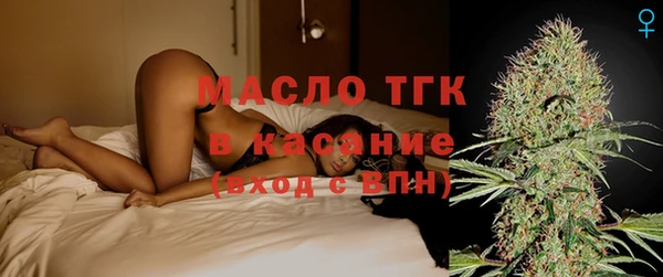 индика Краснослободск