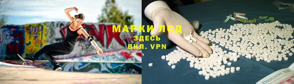 индика Костерёво