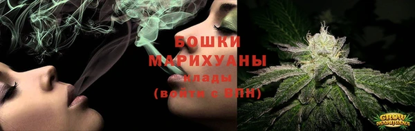 индика Костерёво