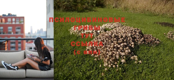 индика Костерёво