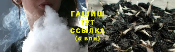 гашик Коряжма