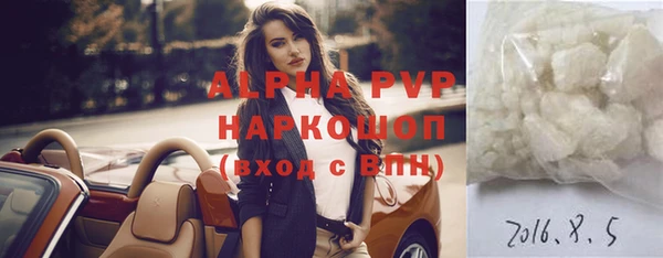 гашик Коряжма