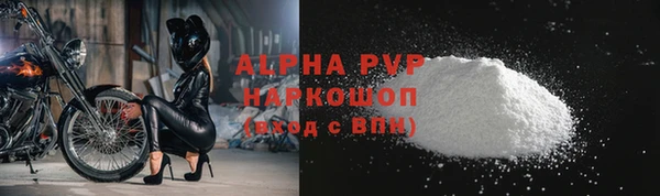 гашик Коряжма