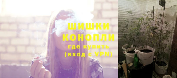 индика Костерёво
