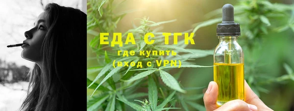 индика Краснослободск