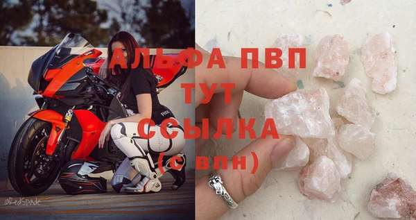 индика Костерёво