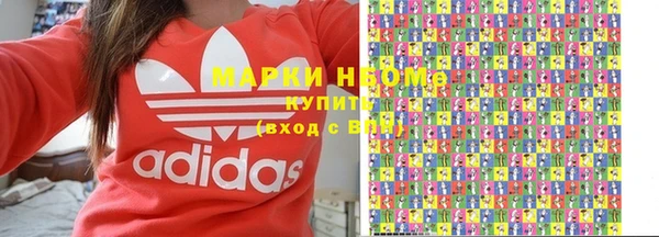 гашик Коряжма