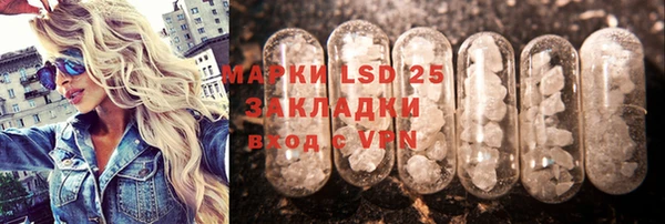 индика Костерёво