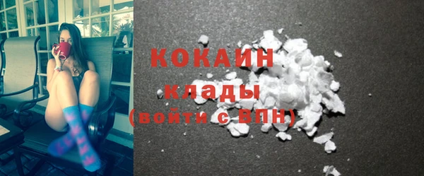 индика Костерёво