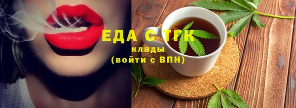 индика Костерёво