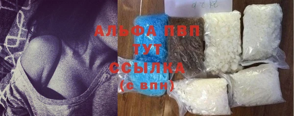 индика Костерёво
