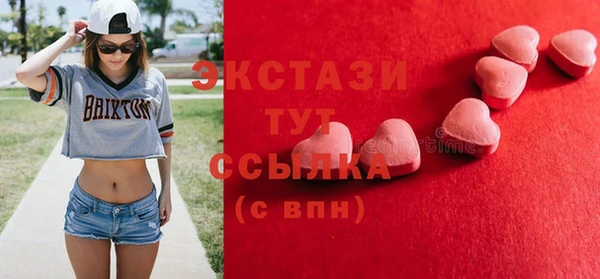 индика Краснослободск