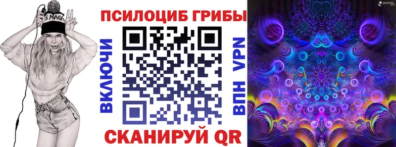Псилоцибиновые грибы Cubensis  купить наркоту  Полярный 